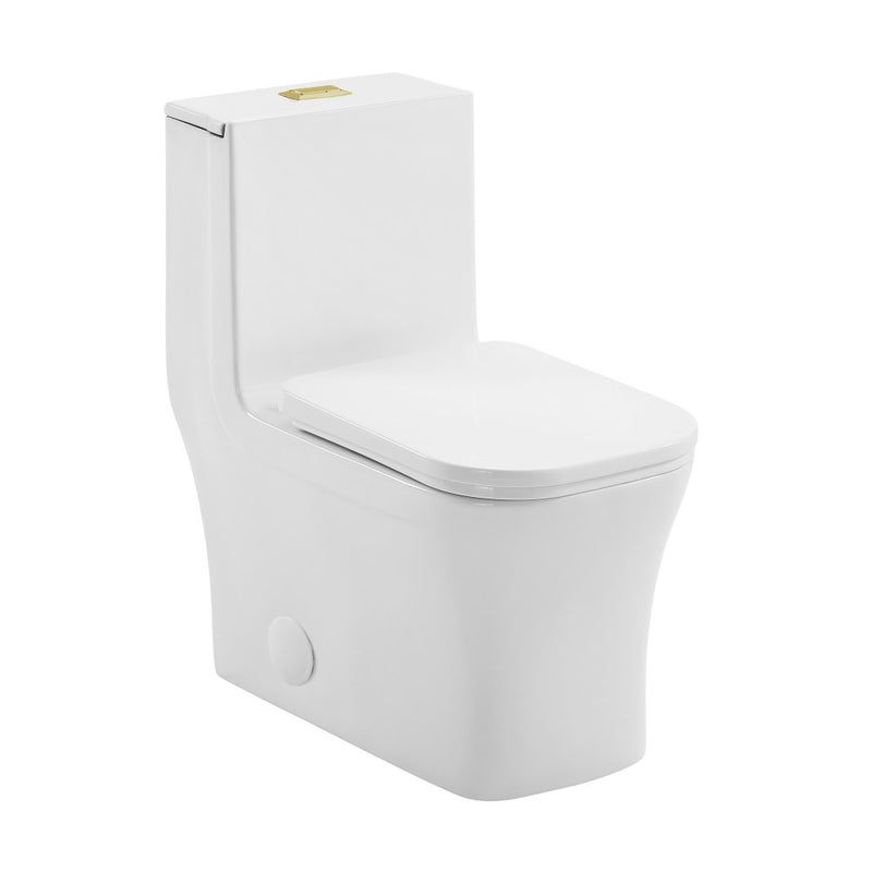 Concorde One Piece Square Toilet Dual Flush, Brushed Gold Hardware 1.1/1.6 gpf