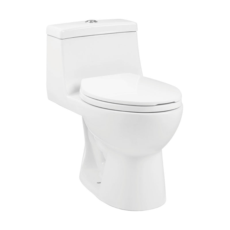 Avallon One-Piece Elongated Dual Flush-Toilet 1.1/1.6 gpf