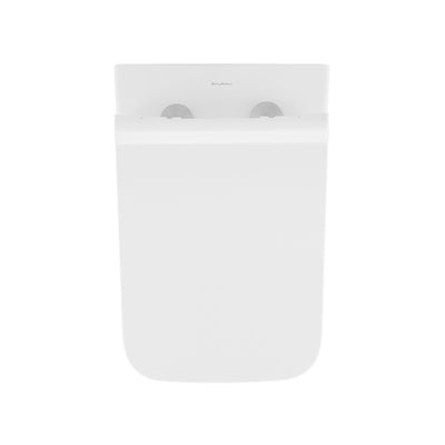 Concorde Back-to-Wall Toilet Bundle 0.8/1.6 GPF Dual Flush in Glossy White with Brass Flush Plate