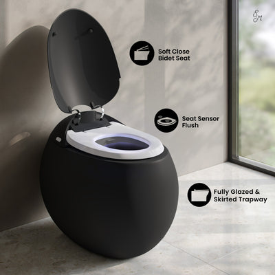 Plaisir Smart One-Piece 1.28 GPF Single Flush Toilet in Matte Black