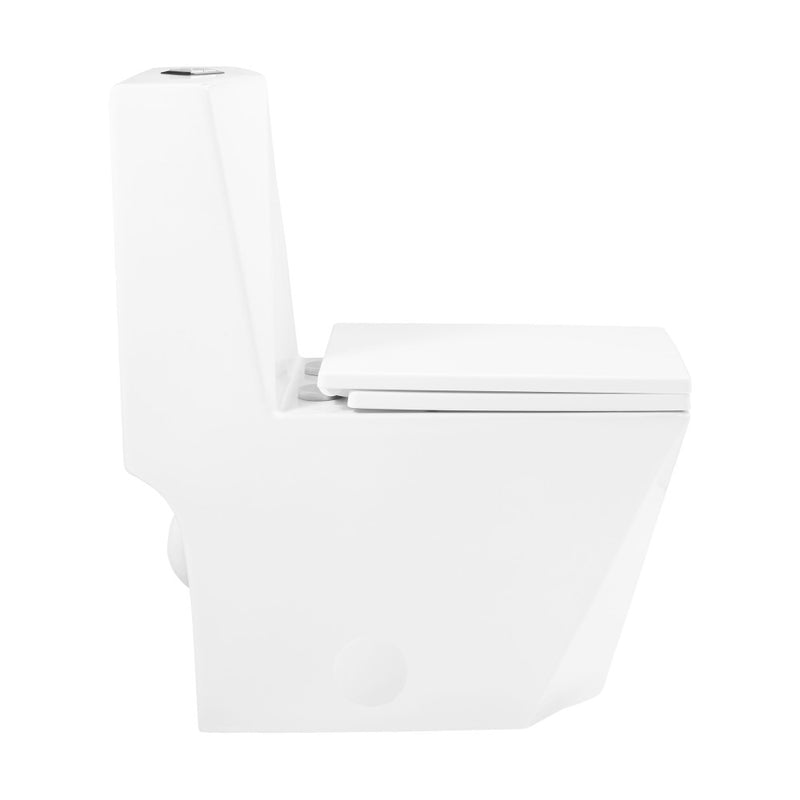 Brusque One-Piece Square Toilet Dual-Flush 1.1/1.6 gpf