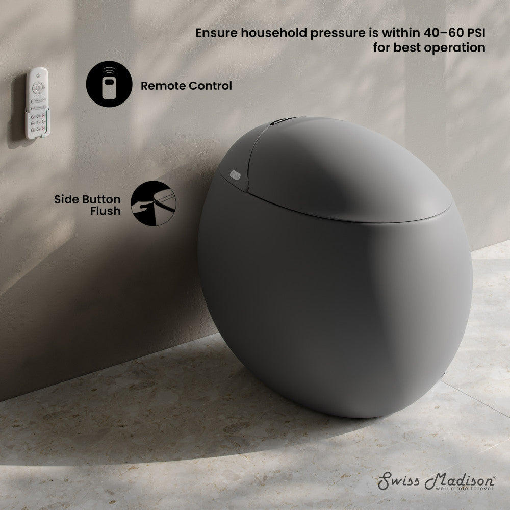 Plaisir Smart One-Piece 1.28 GPF Single Flush Toilet in Matte Gray