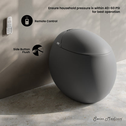 Plaisir Smart One-Piece 1.28 GPF Single Flush Toilet in Matte Gray