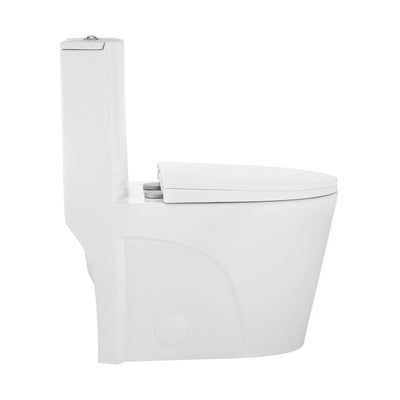 St. Tropez One-Piece Elongated Toilet Vortex Dual-Flush 1.1/1.6 gpf (6 - Pack)