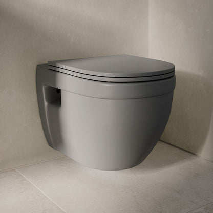 Ivy Wall-Hung Toilet Bowl Only in Matte Gray