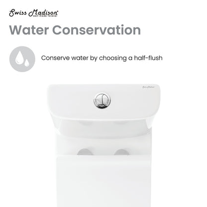 Elongated one-piece white toilet with dual-flush button on the tank top.