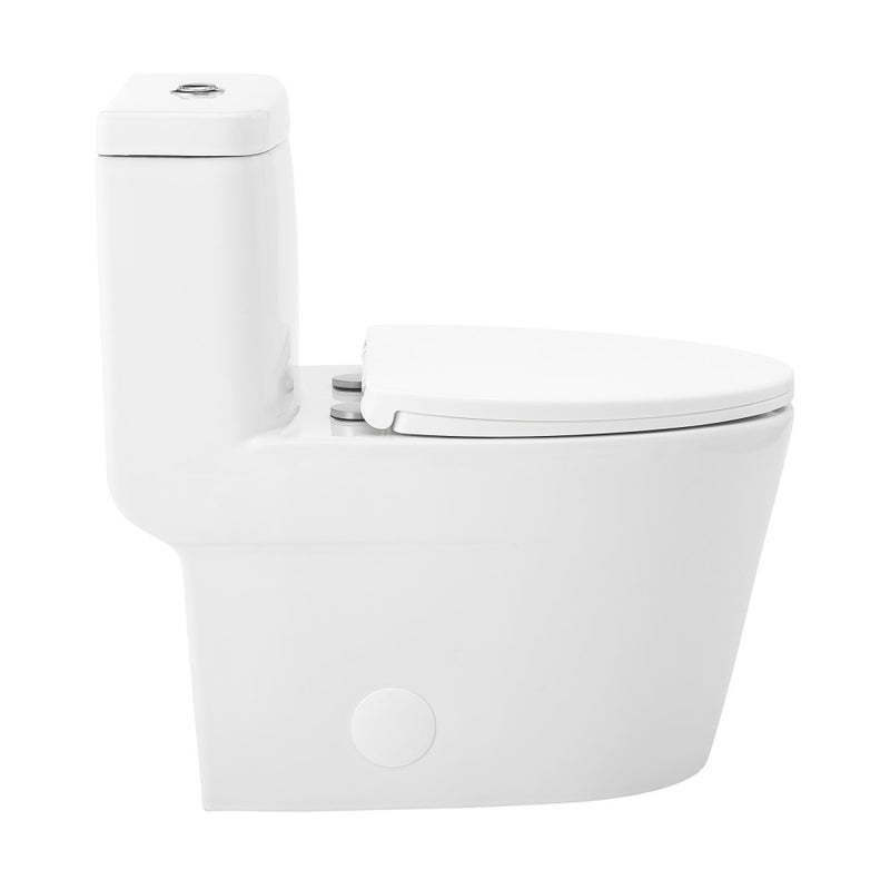 Fulton One-Piece Elongated Toilet Dual-Flush 1.1/1.6 gpf