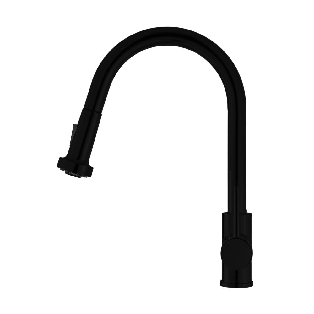 Pull-down kitchen faucet in matte black, single handle, high arc spout.