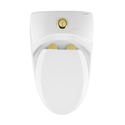 Chateau One Piece Elongated Toilet Dual Flush, Brushed Gold Hardware 1.1/1.6 gpf