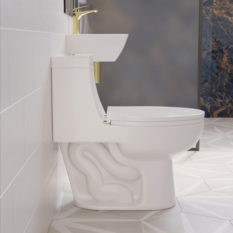 Avallon One-Piece Elongated Dual Flush-Toilet 1.1/1.6 gpf