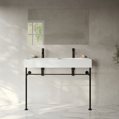 Claire 48" Double Basin Console Sink with Matte Black Legs