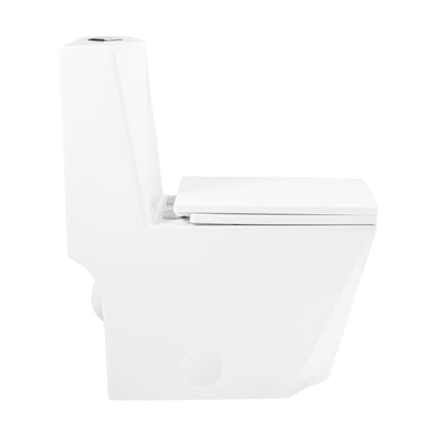 Brusque One-Piece Square Toilet Dual-Flush 1.1/1.6 gpf