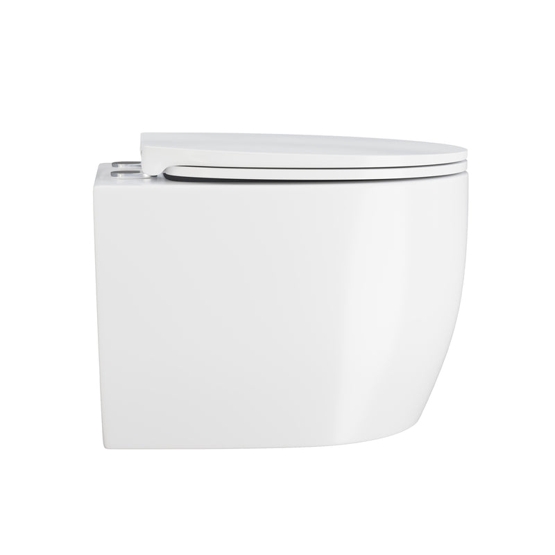 Classe Wall-Hung Elongated Toilet Bowl