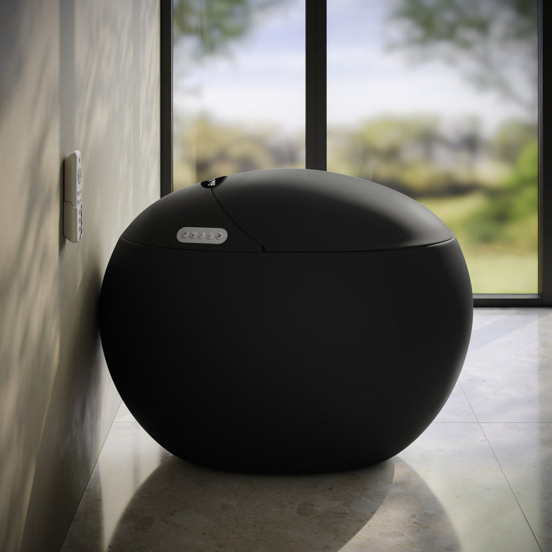 Plaisir Smart One-Piece 1.28 GPF Single Flush Toilet in Matte Black