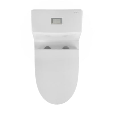 Daxton One-Piece Elongated Dual-Flush Toilet 1.1/1.6 gpf