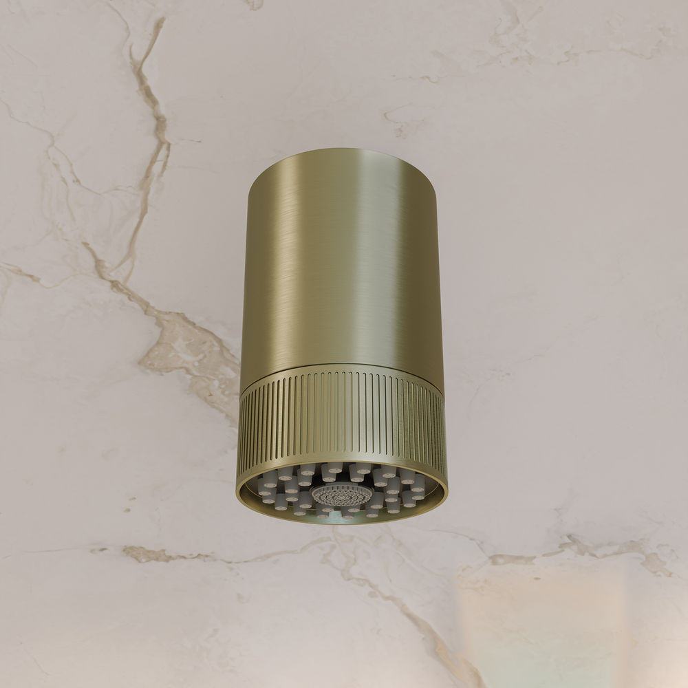 Lumiere 2-Spray Patterns 2.5 GPM Wall Mount Fixed Shower Head in Brushed Gold