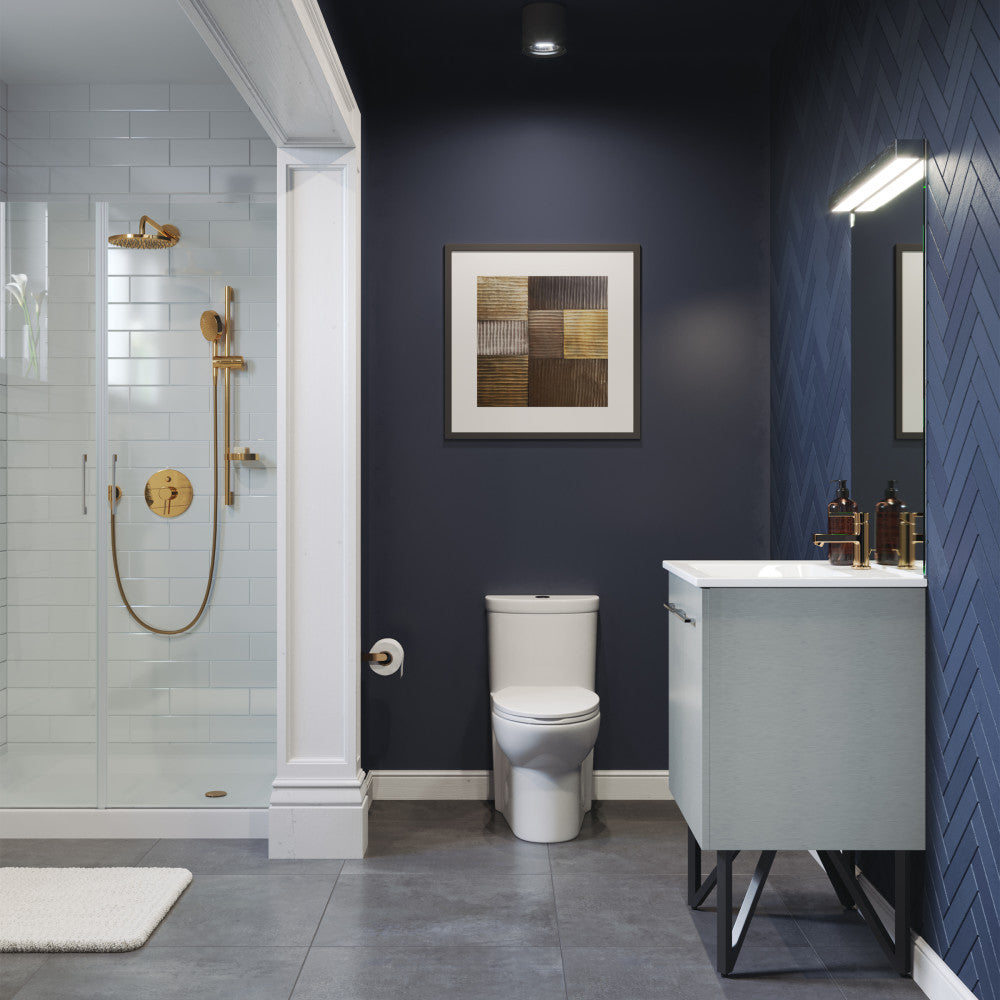 Sublime One-Piece Elongated Toilet Dual-Flush 1.1/1.6 gpf – Swiss
