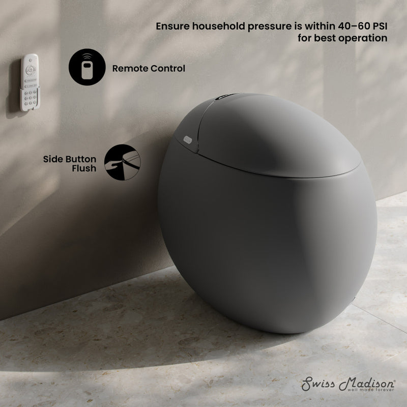 Plaisir Smart One-Piece 1.28 GPF Single Flush Toilet in Matte Gray