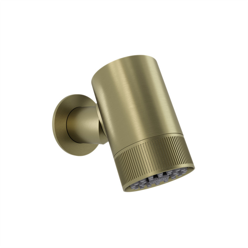 Lumiere 2-Spray Patterns 2.5 GPM Wall Mount Fixed Shower Head in Brushed Gold