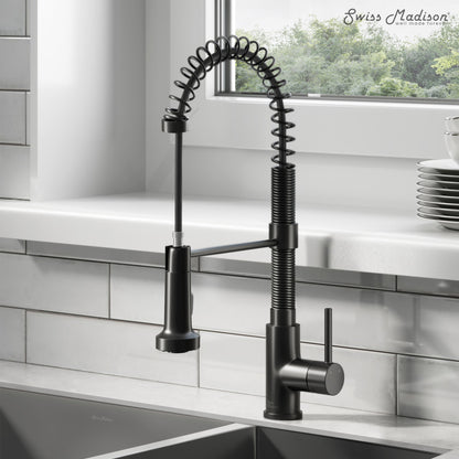 Single-handle pull-down kitchen faucet in matte black with spring coil design and curved spout.