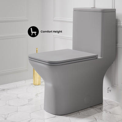 Carre One-Piece Square Toilet Dual-Flush in Matte Gray1.1/1.6 gpf