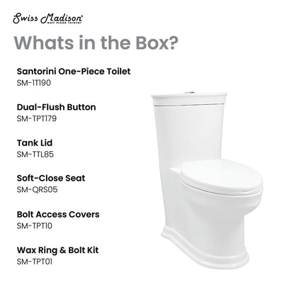 Elongated one-piece toilet, dual-flush, soft-close seat, white ceramic.