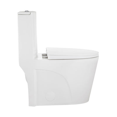 St. Tropez One Piece Elongated Toilet Dual Vortex Flush 1.1/1.6 gpf with 10" Rough In