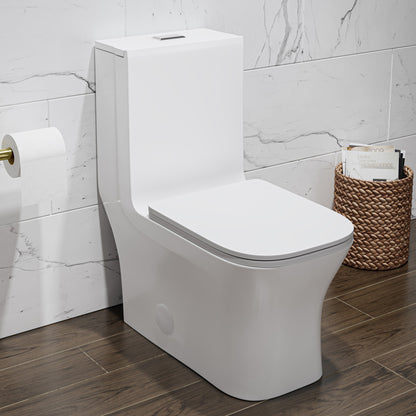 Elongated one-piece toilet in matte white, dual flush, compact design.