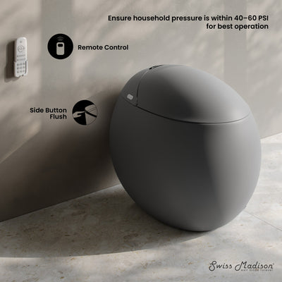 Plaisir Smart One-Piece 1.28 GPF Single Flush Toilet in Matte Gray