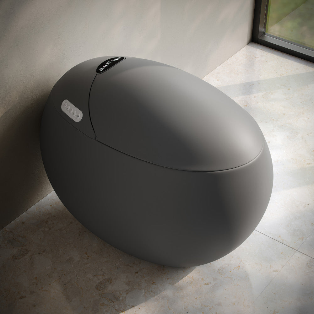 Plaisir Smart One-Piece 1.28 GPF Single Flush Toilet in Matte Gray