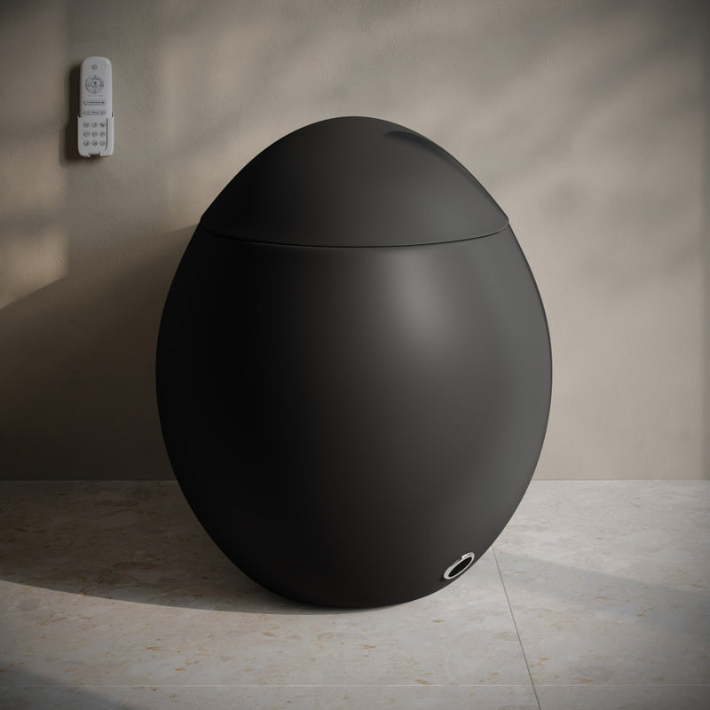 Plaisir Smart One-Piece 1.28 GPF Single Flush Toilet in Matte Black