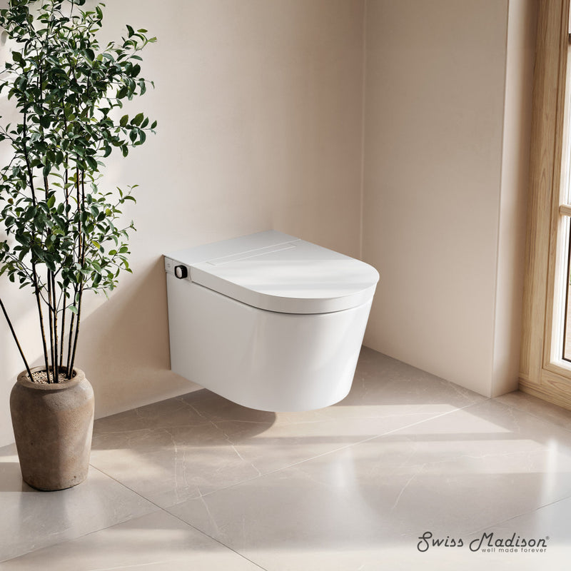 Hugo H Wall-Hung Toilet in Glossy White with Manual Bidet and Supporting Frame