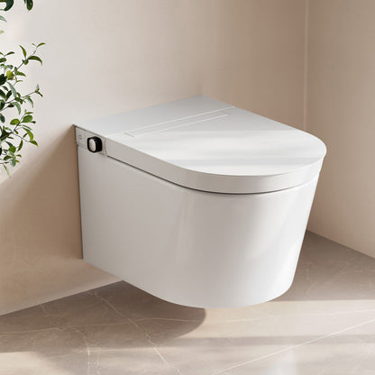 Hugo H Wall-Hung Toilet in Glossy White with Manual Bidet and 2x6 Supporting Frame
