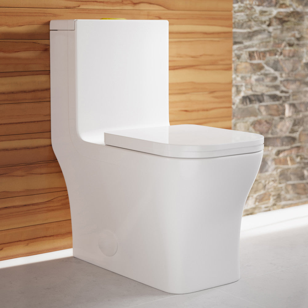 Elongated one-piece toilet with dual flush and brushed gold hardware, modern skirted trapway design.