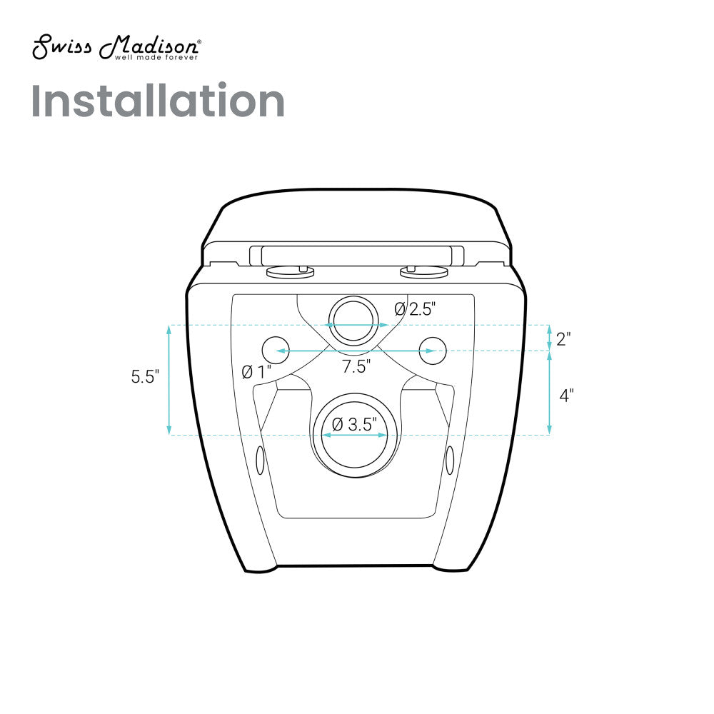 Ivy Wall-Hung Toilet Bundle 0.8/1.6 GPF Dual Flush in Matte Black with Black Flush Plate