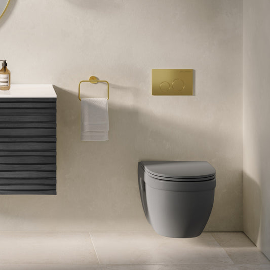 Ivy Wall-Hung Toilet Bowl Only in Matte Gray