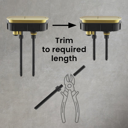 Toilet Hardware Brushed Gold (SM-1T254)