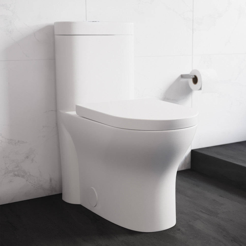 Elongated one-piece toilet in white with dual flush and soft-close seat, 10" rough-in installation.