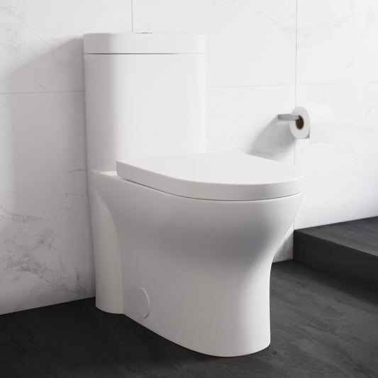 Elongated one-piece toilet in white with dual flush and soft-close seat, 10" rough-in installation.