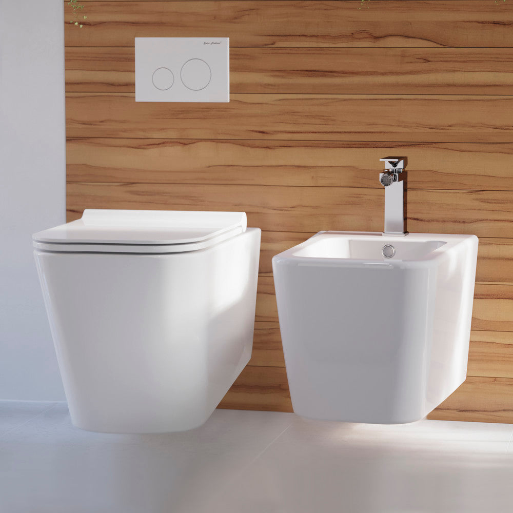 Wall-hung compact toilet bowl with soft-close seat in white, sleek modern design.