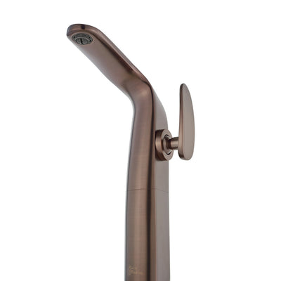 Chateau Single Hole, Single-Handle, High Arc Bathroom Faucet in Oil Rubbed Bronze