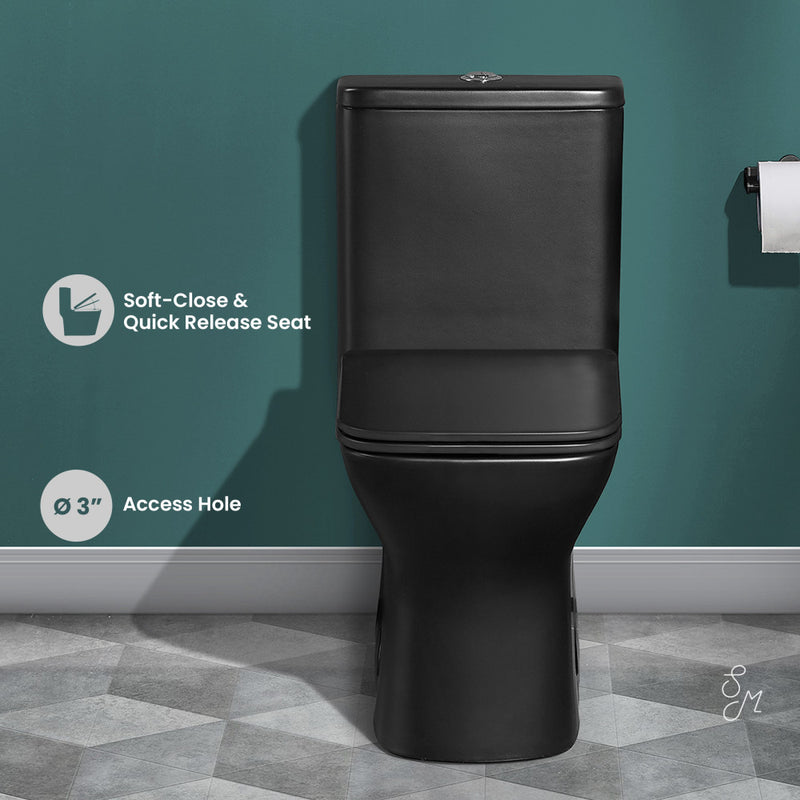 Carre One Piece Square Toilet Dual Flush 1.1/1.6 gpf with 10" Rough-In, Matte Black