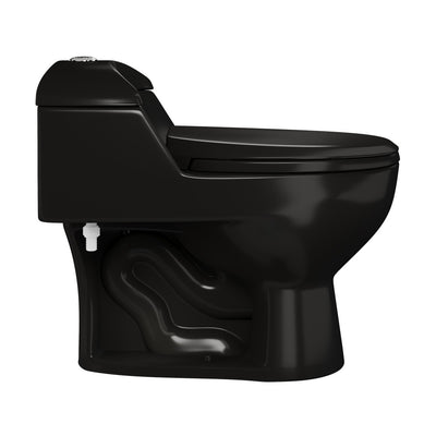 Chateau One-Piece Elongated Toilet Dual-Flush in Glossy Black 1.1/1.6 gpf