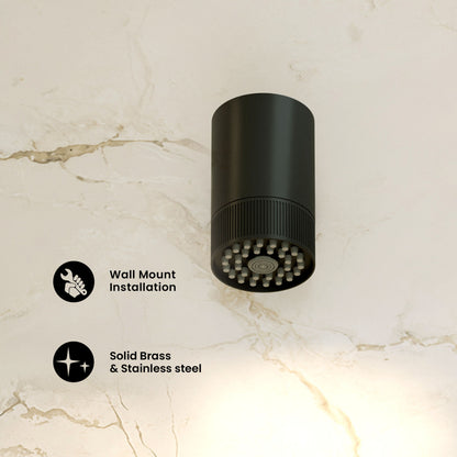 Lumiere 2-Spray Patterns 2.5 GPM Wall Mount Fixed Shower Head in Matte Black