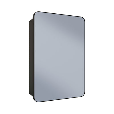 Pierre 20 x 30 Rectangle Recessed/Wall Mount Medicine Cabinet with Mirror in Matte Black