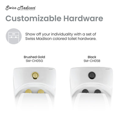 Elongated one-piece toilet with dual flush and brushed gold hardware.