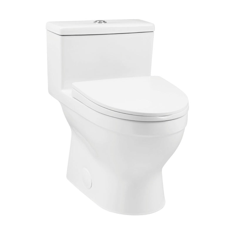 Clichy One-Piece Elongated Toilet Dual-Flush 1.1/1.6 gpf (6-Pack)