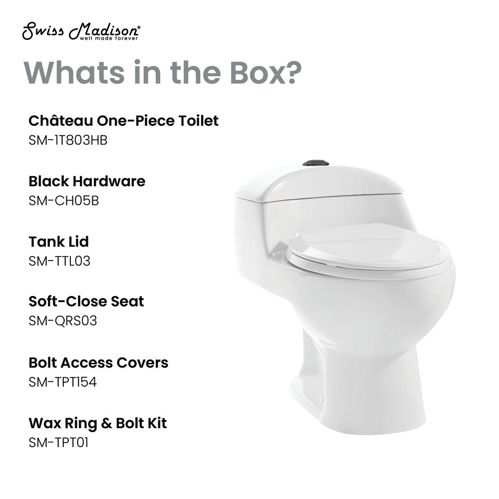 Elongated one-piece white toilet with dual flush and soft-close seat, black hardware accents.