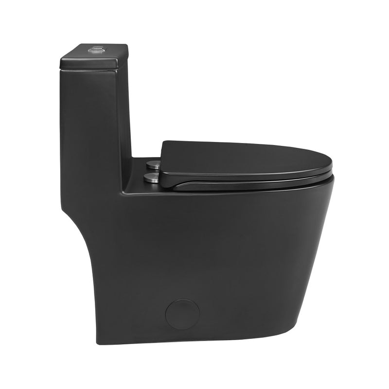 Dreux One Piece Elongated Dual Flush Toilet with 0.95/1.26 GPF in Matte Black