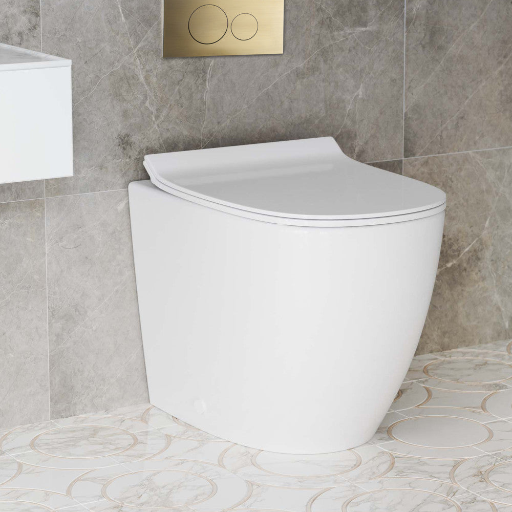 St. Tropez Back-to-Wall Toilet Bundle 0.8/1.6 GPF Dual Flush in Glossy White with Brass Flush Plate